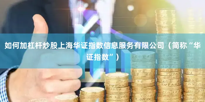 如何加杠杆炒股上海华证指数信息服务有限公司（简称“华证指数”）