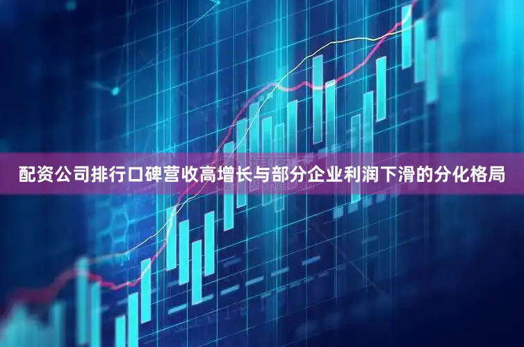 配资公司排行口碑营收高增长与部分企业利润下滑的分化格局