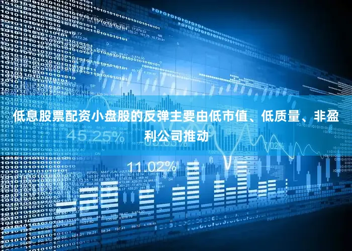 低息股票配资小盘股的反弹主要由低市值、低质量、非盈利公司推动