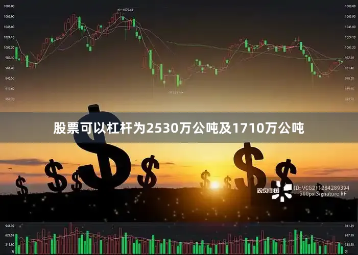 股票可以杠杆为2530万公吨及1710万公吨