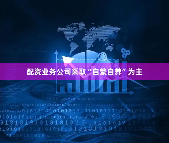 配资业务公司采取“自繁自养”为主
