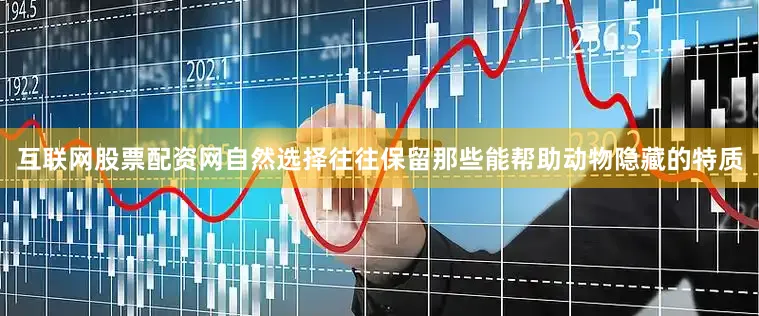 互联网股票配资网自然选择往往保留那些能帮助动物隐藏的特质