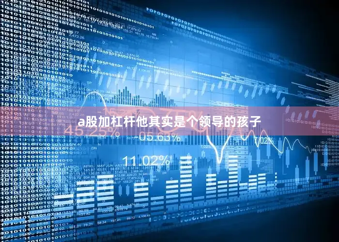 a股加杠杆他其实是个领导的孩子
